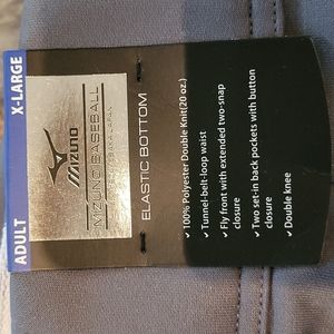 Men's Mizuno Baseball Pants